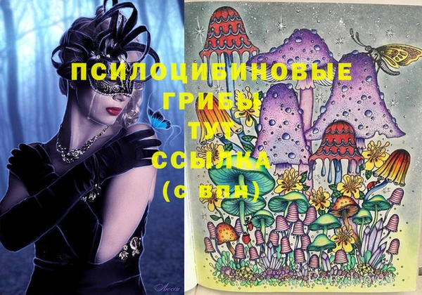прущие грибы Алексин