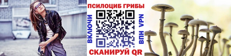 МЕГА онион  Сосенский  Псилоцибиновые грибы мухоморы 